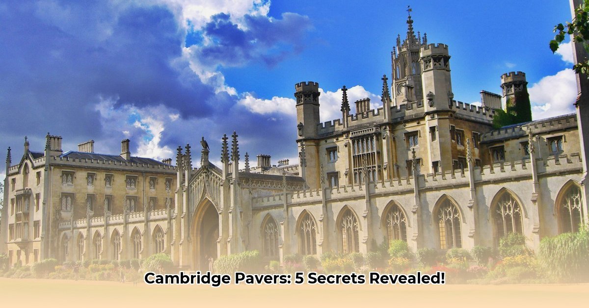 Unveiling Cambridge Pavers Net Worth: 5 Insights for Stakeholders and Consumers
