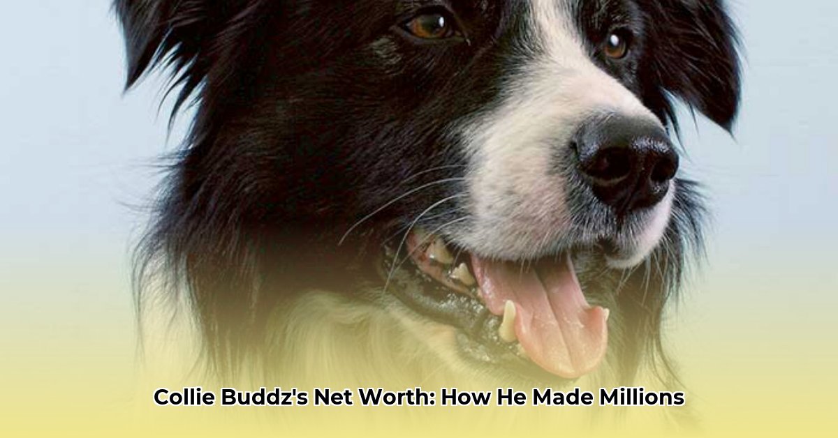 Unveiling Collie Buddz Net Worth: Financial Success Story &amp; Smart Investments