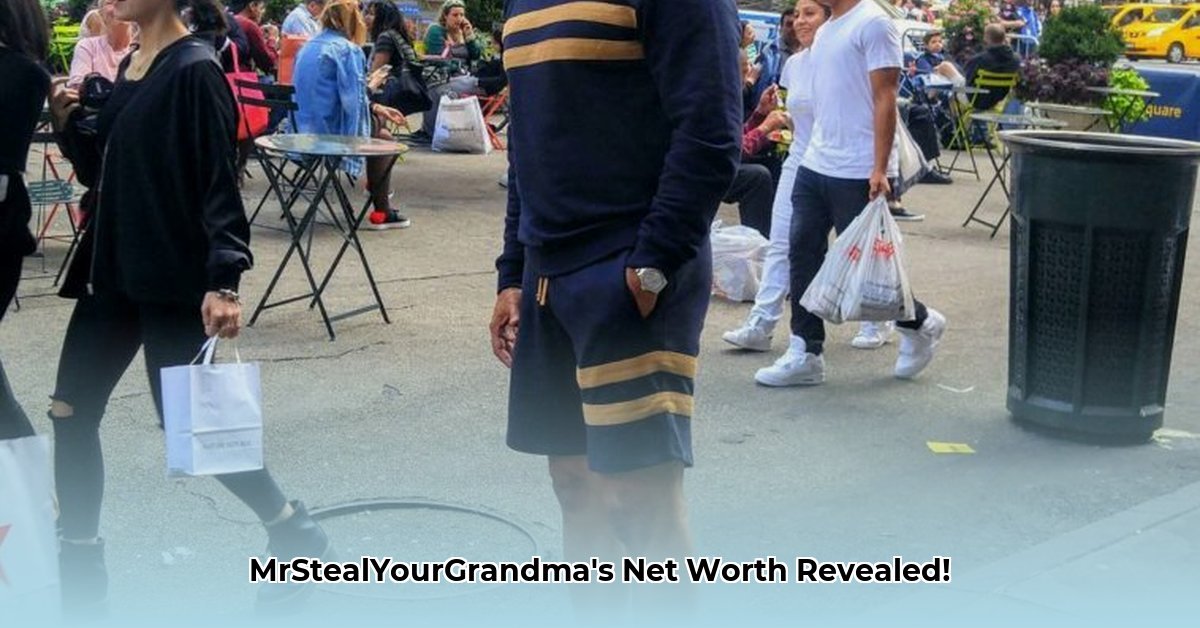 Irvin Randle Net Worth 2025: MrStealYourGrandma’s Earnings Revealed!