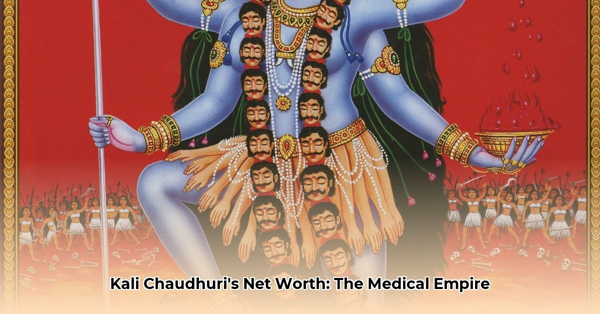 Kali Chaudhuri Net Worth (2024): KPC Global’s Success &amp; Medical Ventures