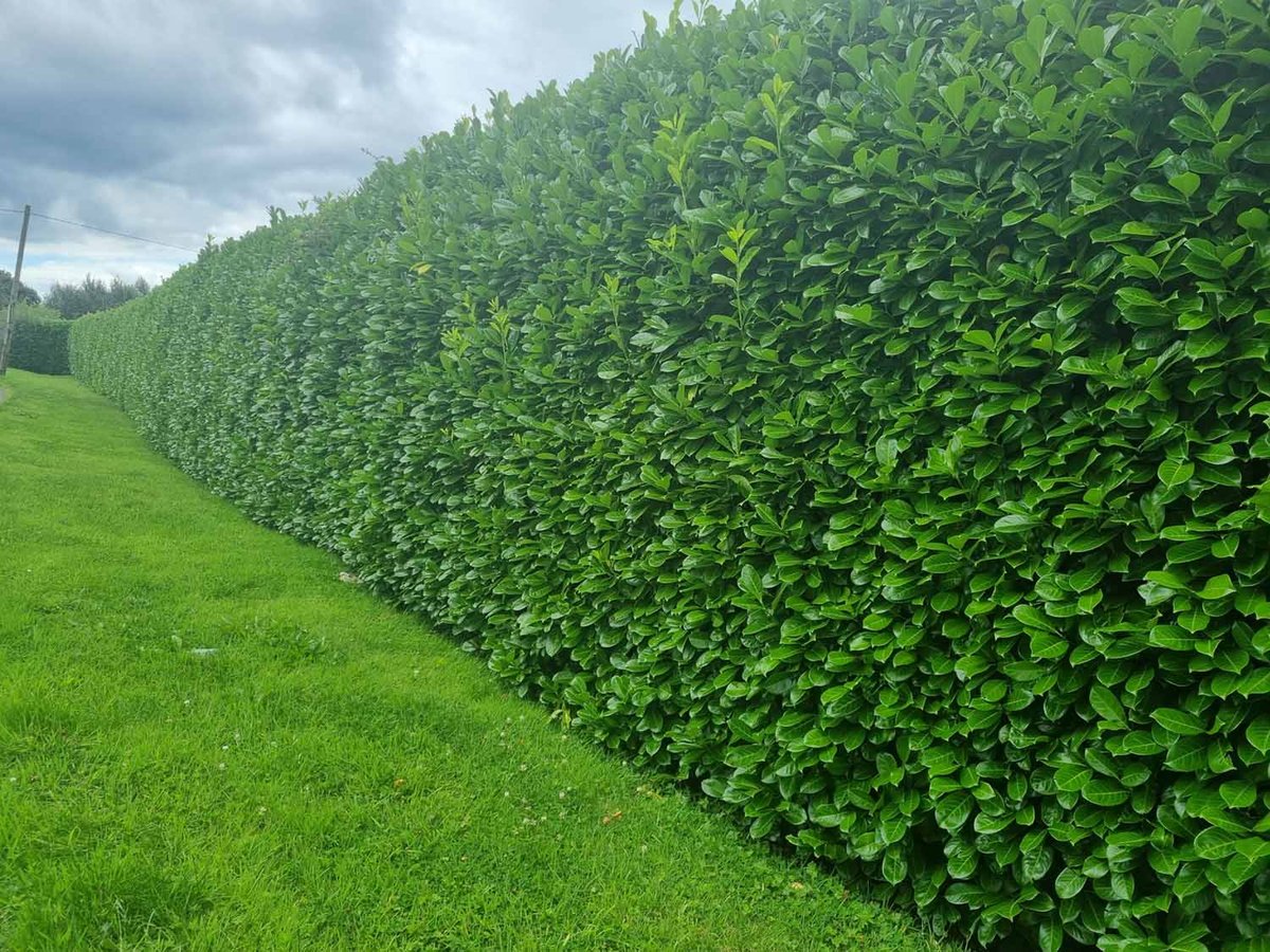 Hedge Fund And High Net Worth Investors Fortunes Explained
